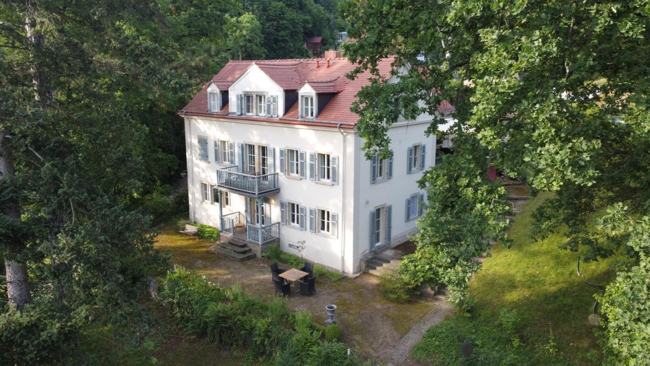 Villa Im Park Wachwitzgrund Dresda Exterior foto