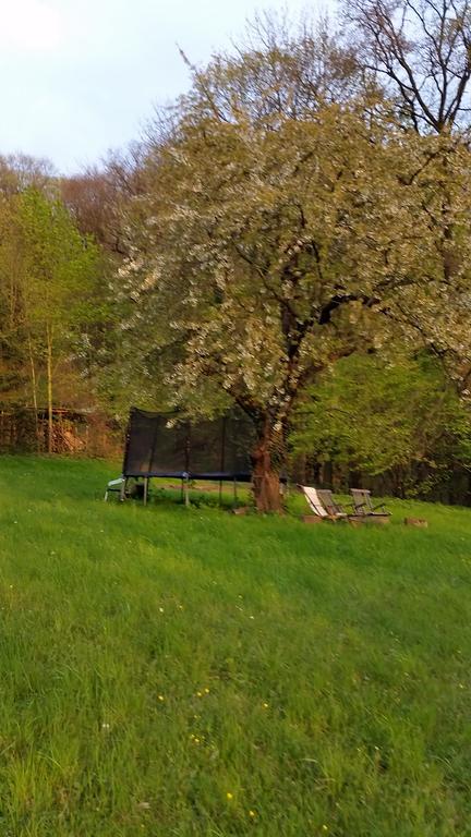 Villa Im Park Wachwitzgrund Dresda Exterior foto