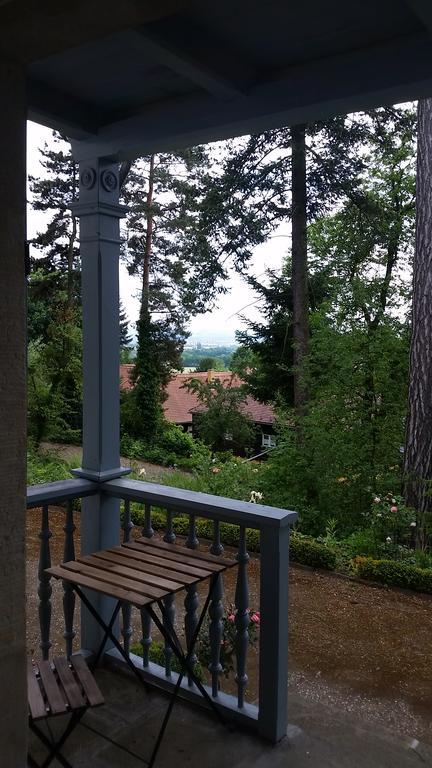 Villa Im Park Wachwitzgrund Dresda Exterior foto
